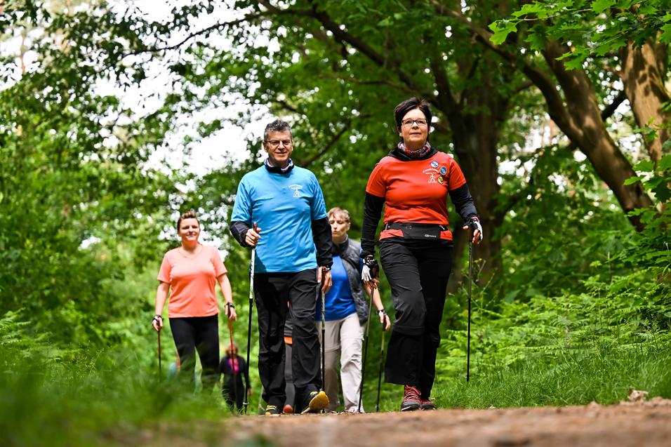 Gruppe von vier Personen wandert mit Nordic-Walking-Stöcken auf einem Waldweg umgeben von Bäumen und grünem Laub.